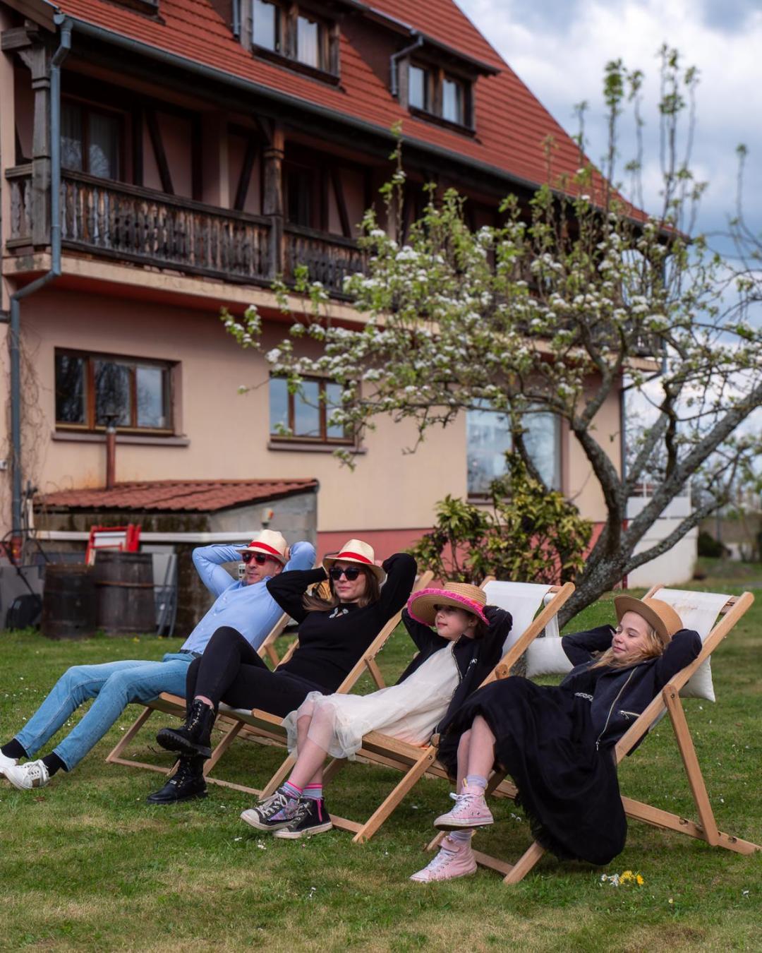 Hotel Restaurant Verger Des Chateaux, Route Des Vins Haut-Koenigsbourg Dieffenthal Bagian luar foto