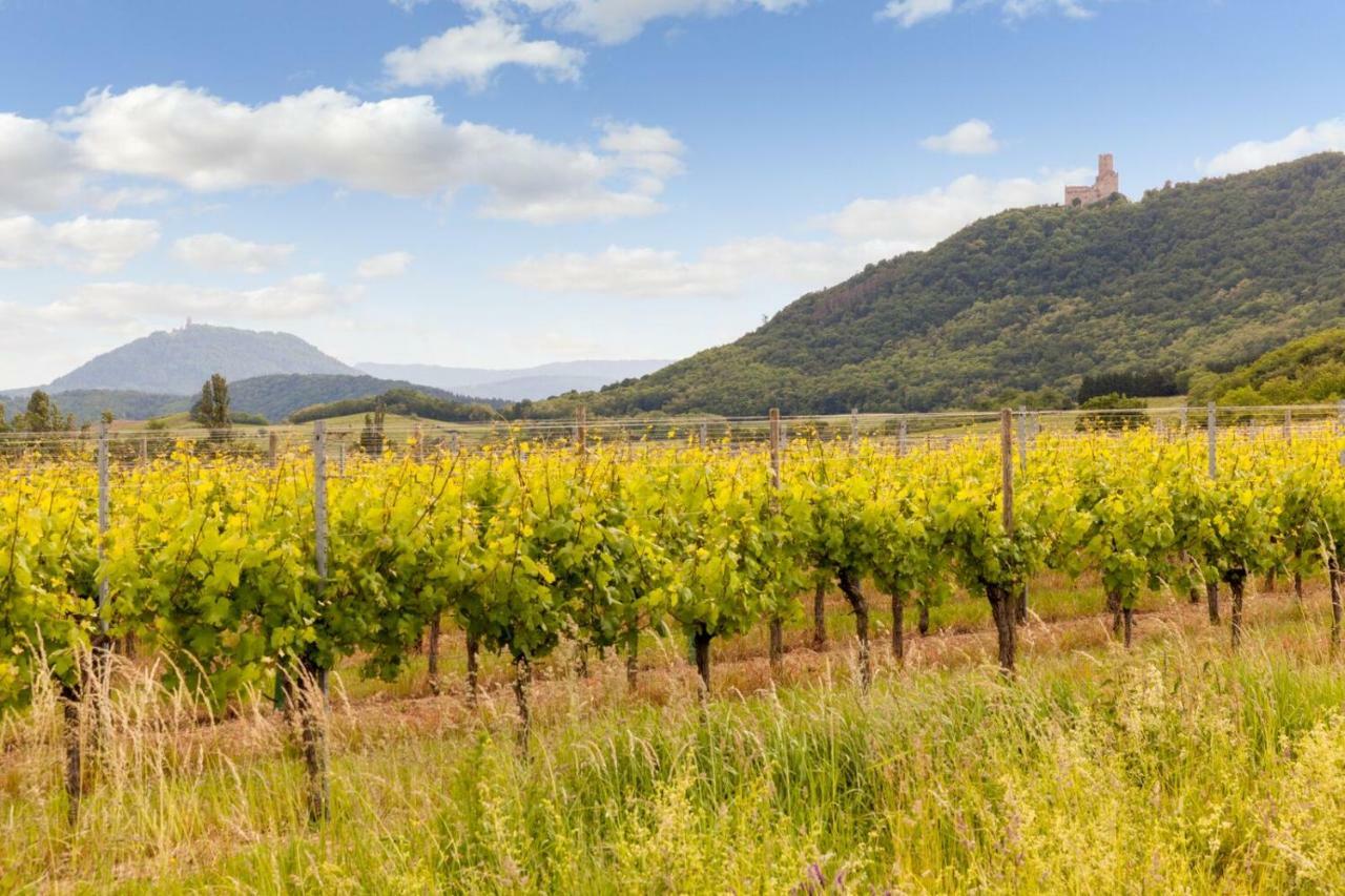 Hotel Restaurant Verger Des Chateaux, Route Des Vins Haut-Koenigsbourg Dieffenthal Bagian luar foto